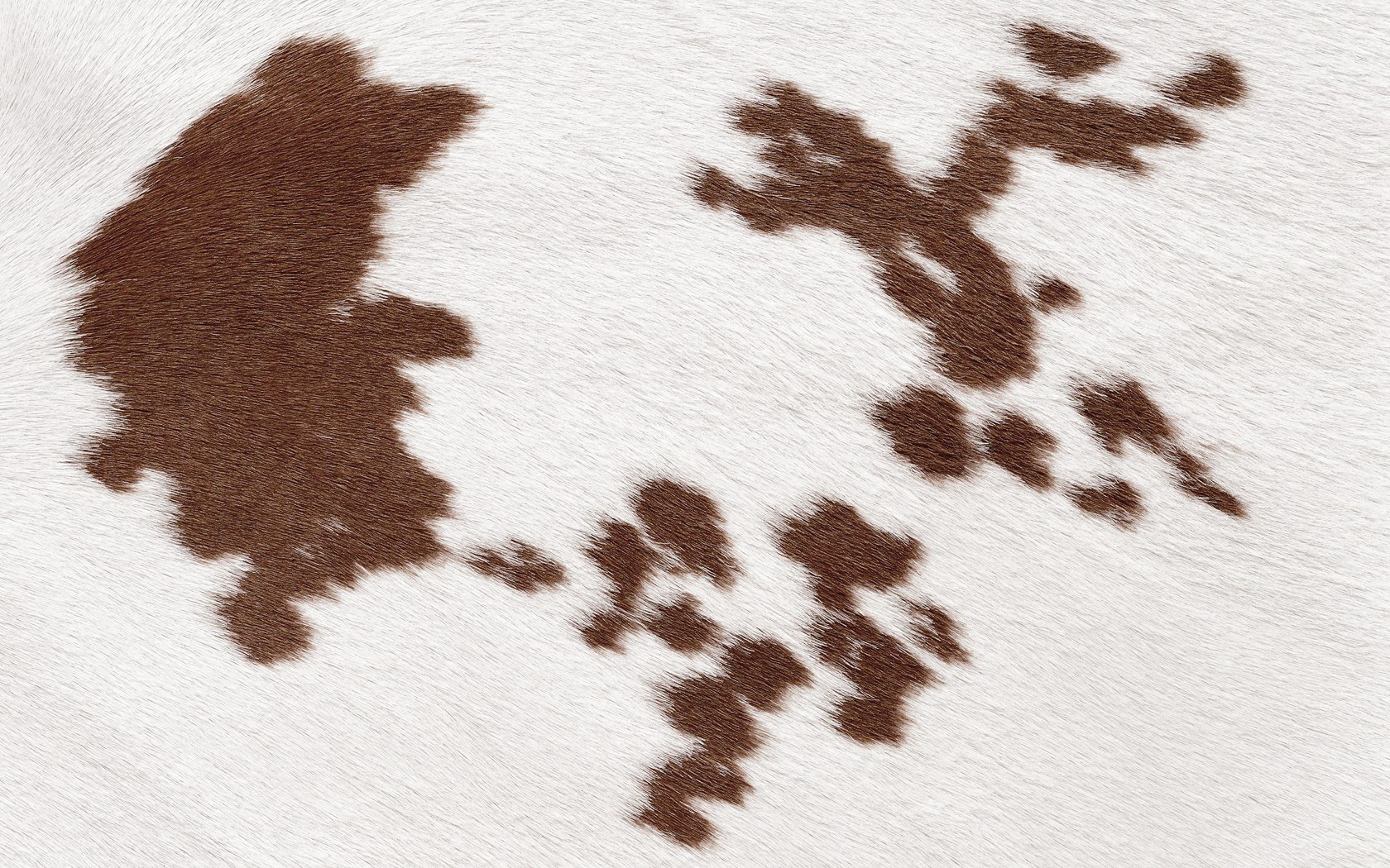brown spots on white fur
