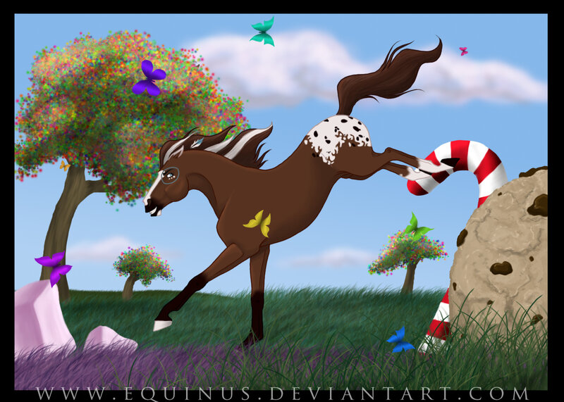 Brown Spotted Horse