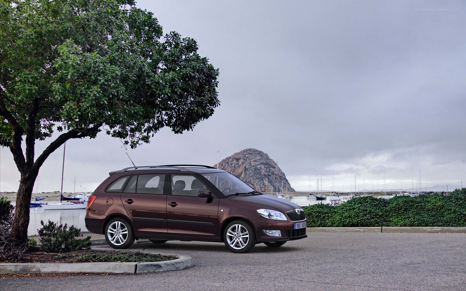 Brown station wagon by the harbor