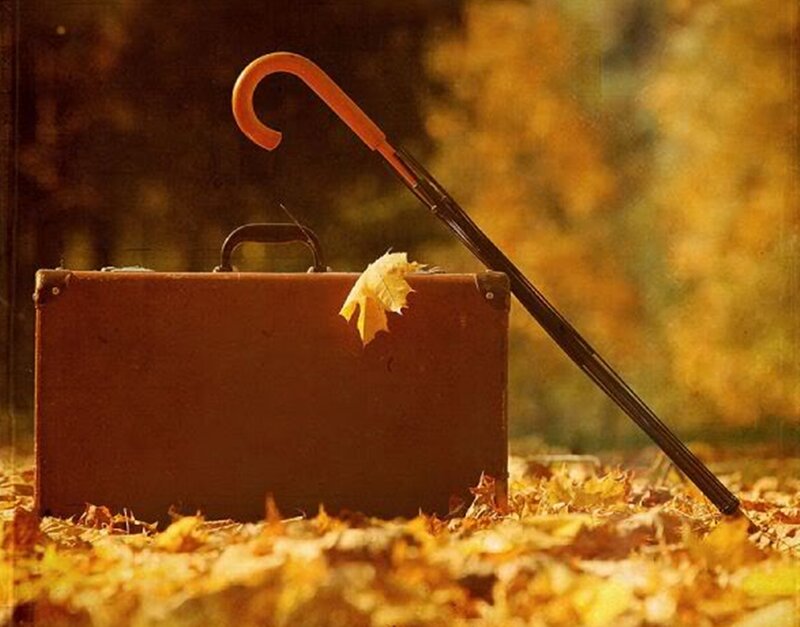 Brown Suitcase with Umbrella