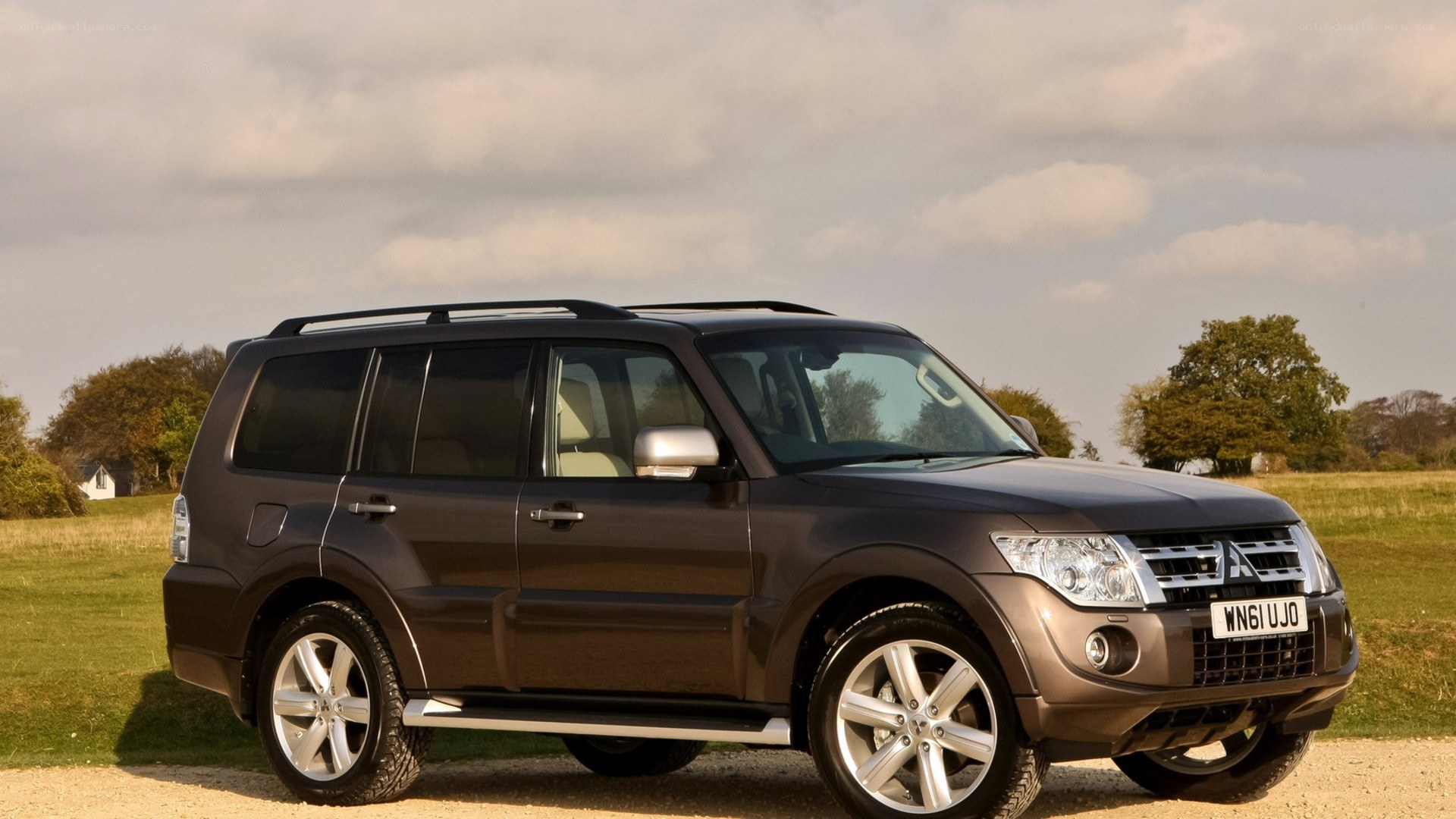 Brown SUV in a field