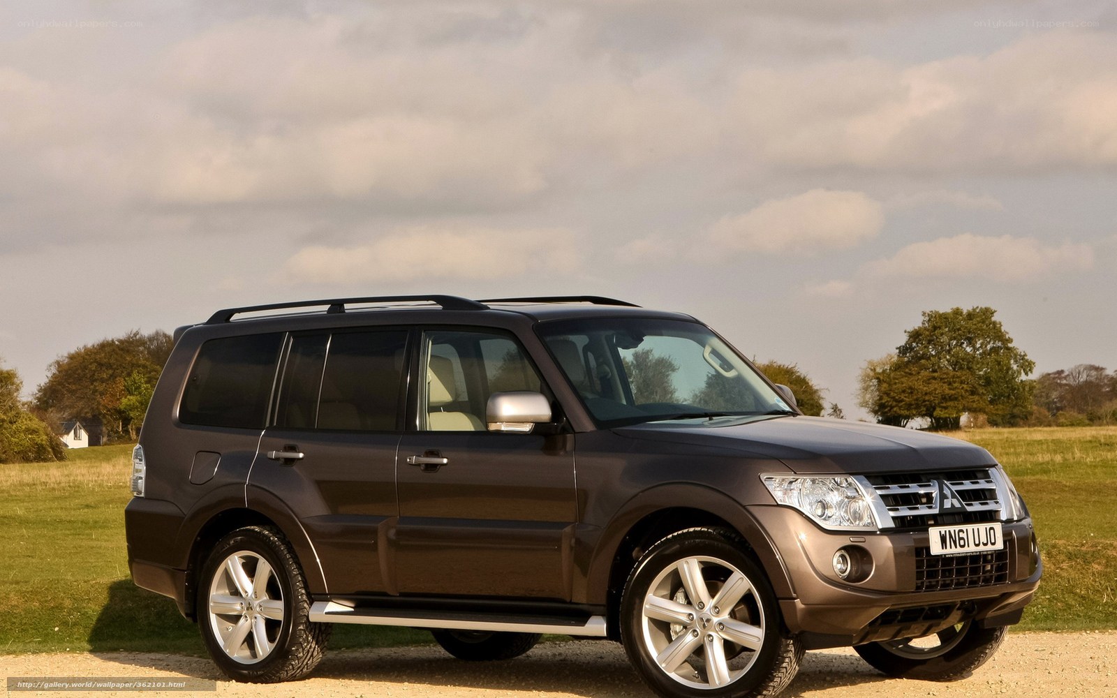 Brown SUV in a field