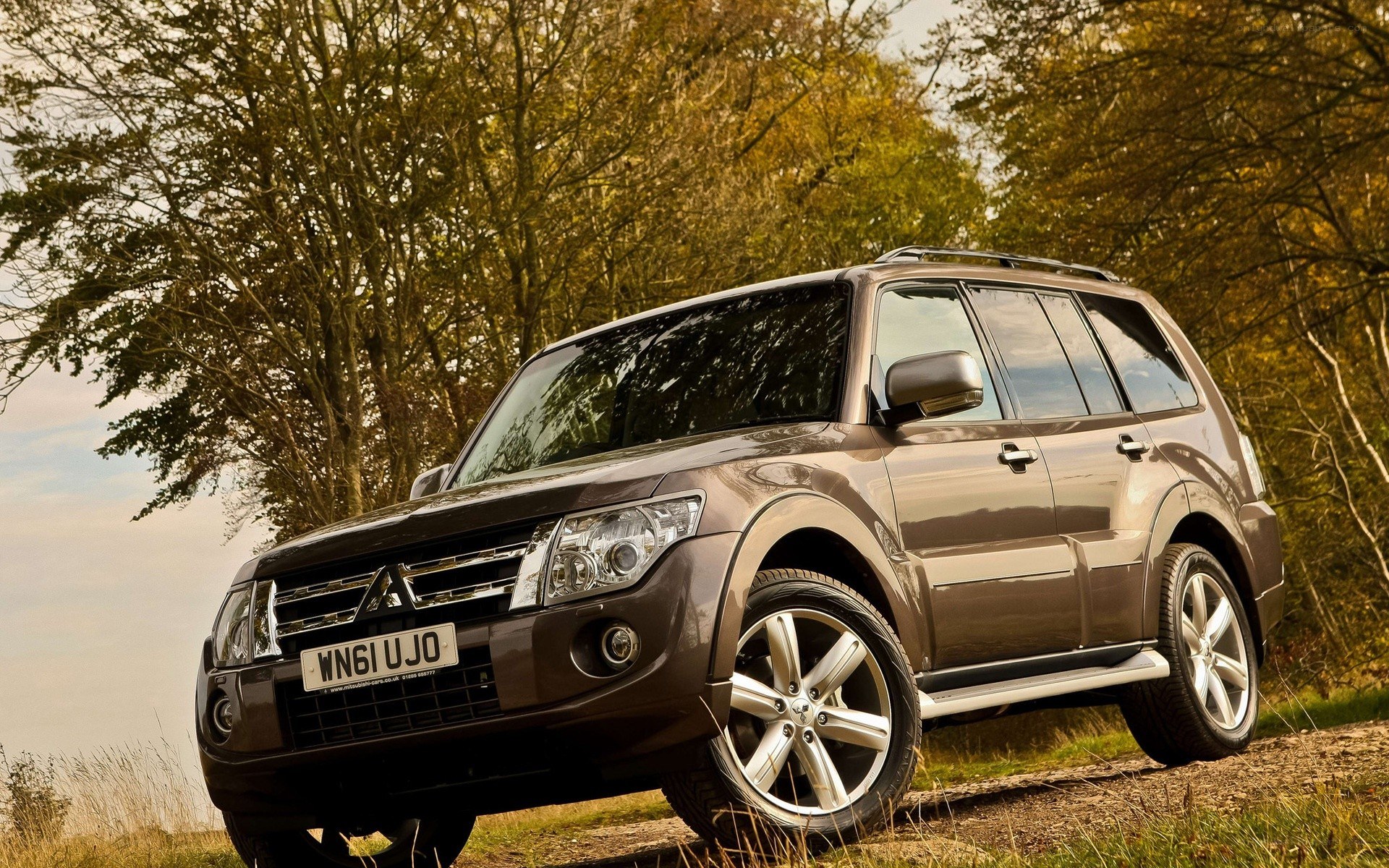 Brown SUV in autumn forest
