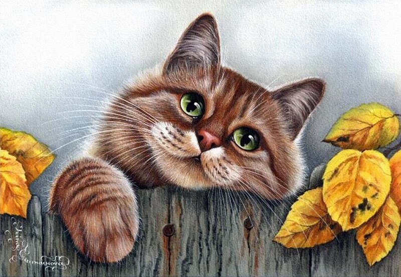 Brown Tabby Cat — Calm, Autumn