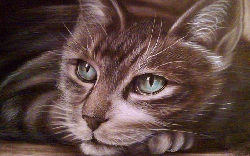 Brown Tabby Cat — Calm, Painting