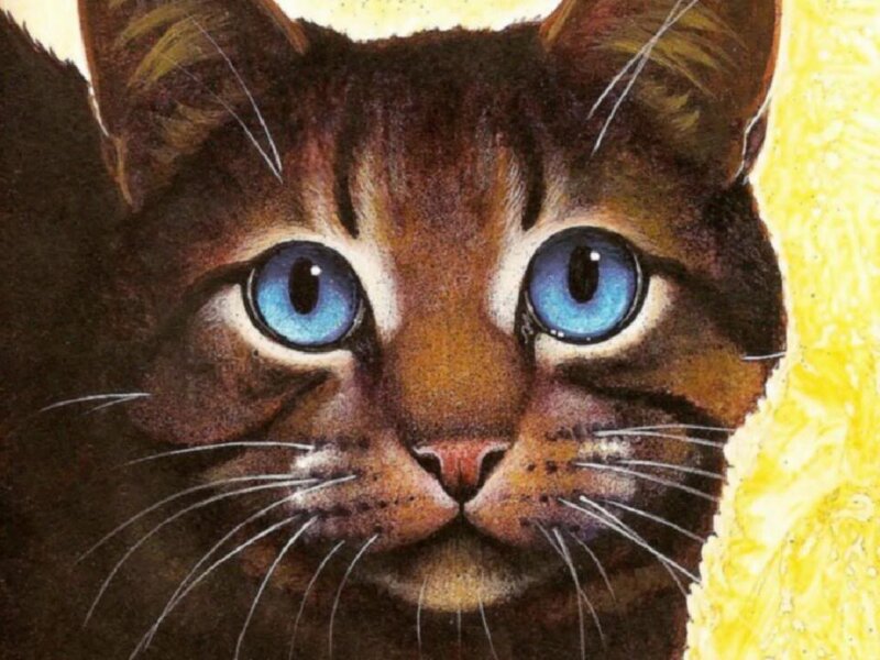Brown Tabby Cat — Intense, Illustration