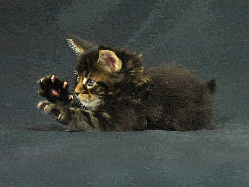 Brown Tabby Kitten — Gray, Calm, Painting