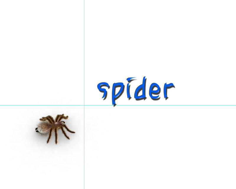 Brown Tarantula Spider