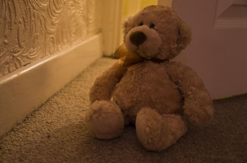 Brown Teddy Bear — Beige, Calm, Night