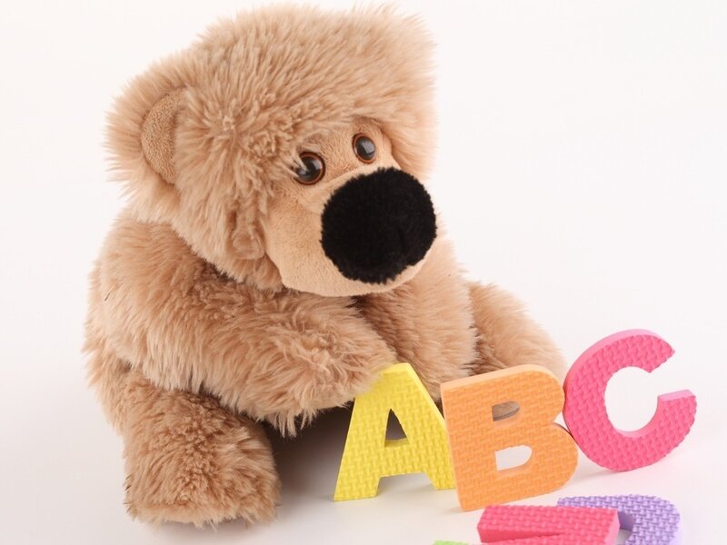 Brown Teddy Bear — Beige