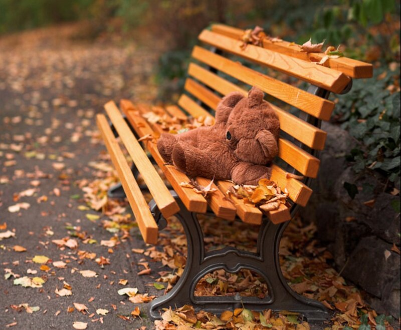 Brown Teddy Bear — Calm, Autumn, Photograph, Bench