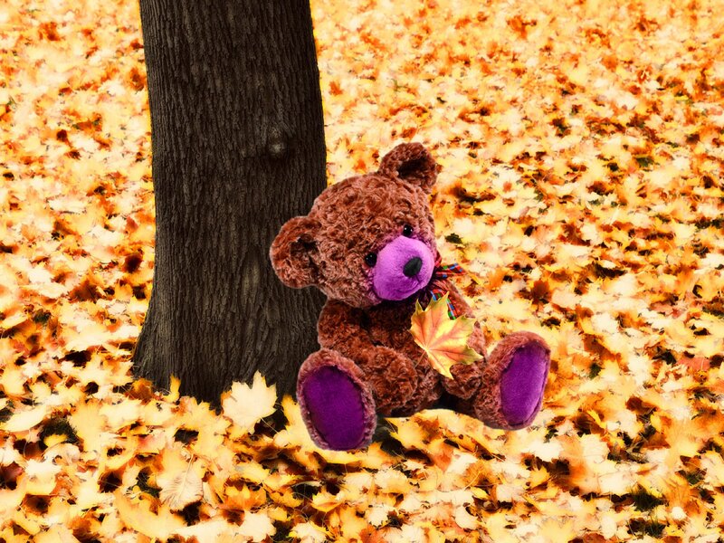 Brown Teddy Bear — Calm, Autumn, Photograph