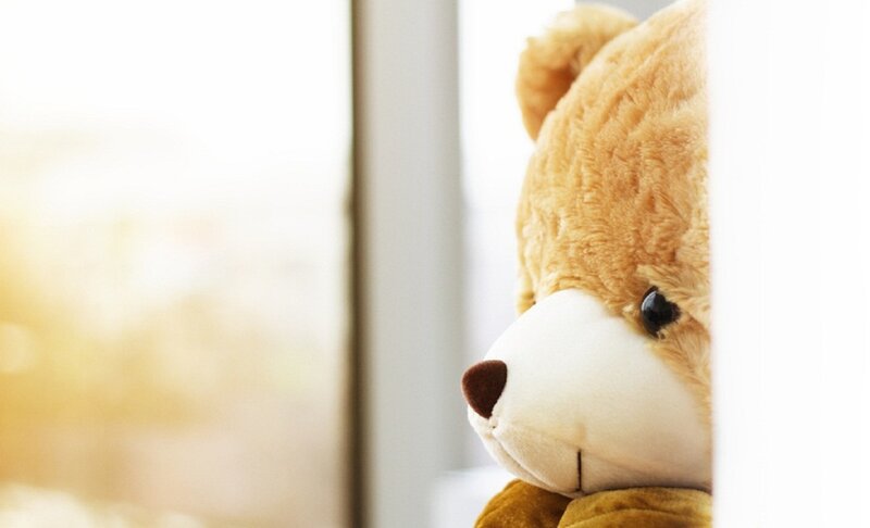 Brown Teddy Bear — Calm, Morning, Photograph