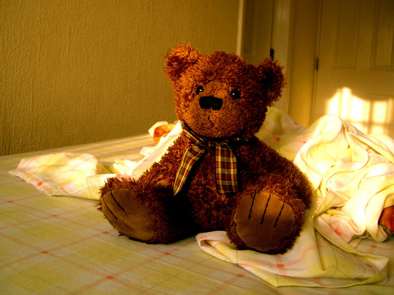 Brown Teddy Bear — Calm, Morning