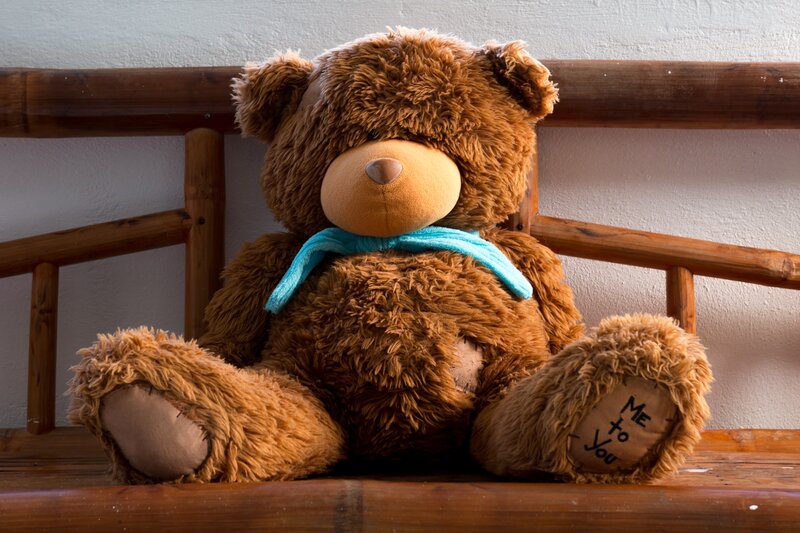 Brown Teddy Bear — Calm, Photograph, Bench