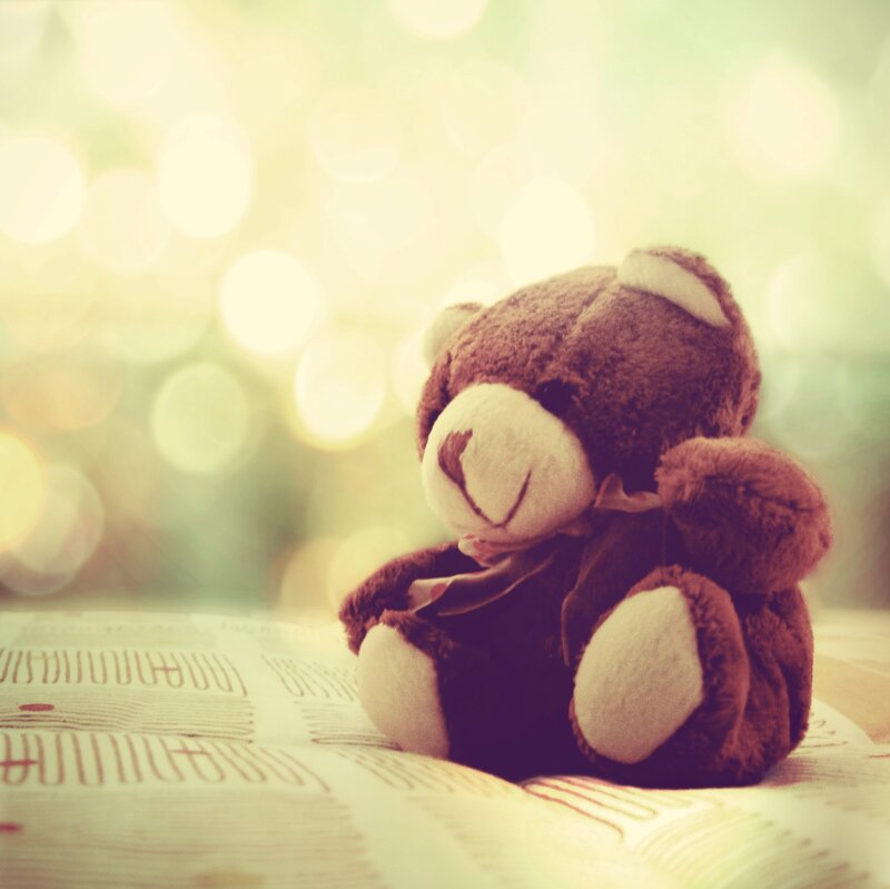 Brown Teddy Bear — Calm, Photograph, Book