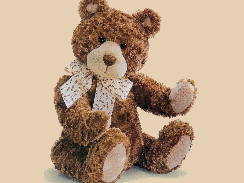 Brown Teddy Bear — Calm, Photograph, Bow