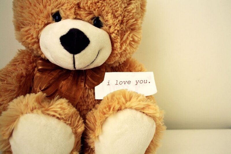 Brown Teddy Bear — Calm, Photograph, Bow Tie