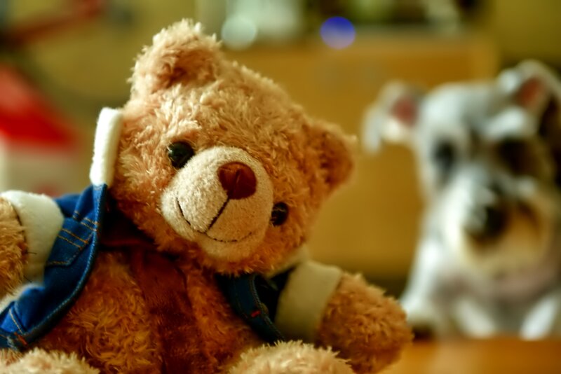 Brown Teddy Bear — Calm, Photograph, Dog