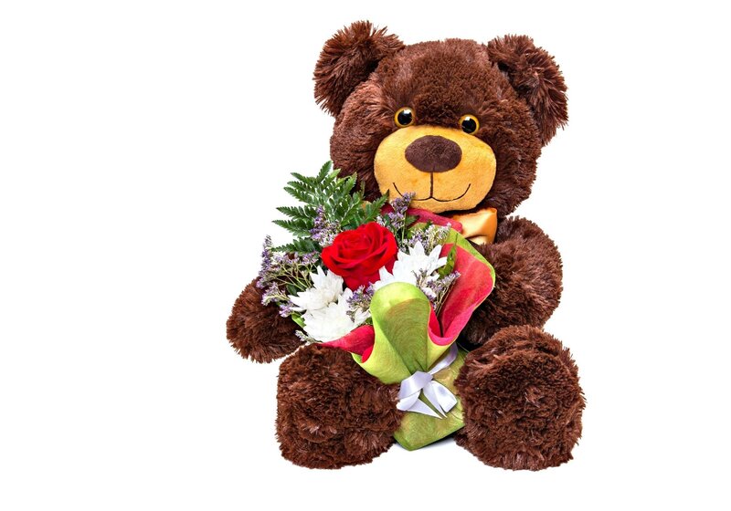 Brown Teddy Bear — Calm, Photograph, Flowers, Rose
