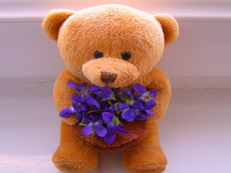 Brown Teddy Bear — Calm, Photograph, Flowers