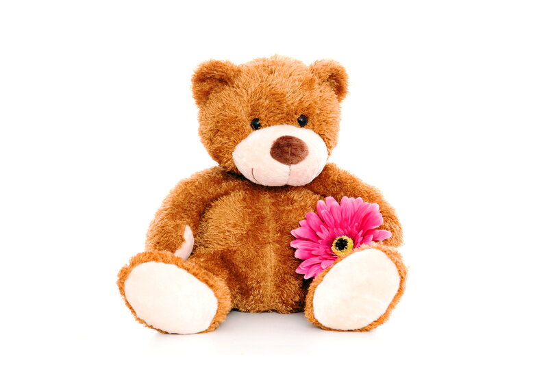 Brown Teddy Bear — Calm, Photograph, Pink Flower