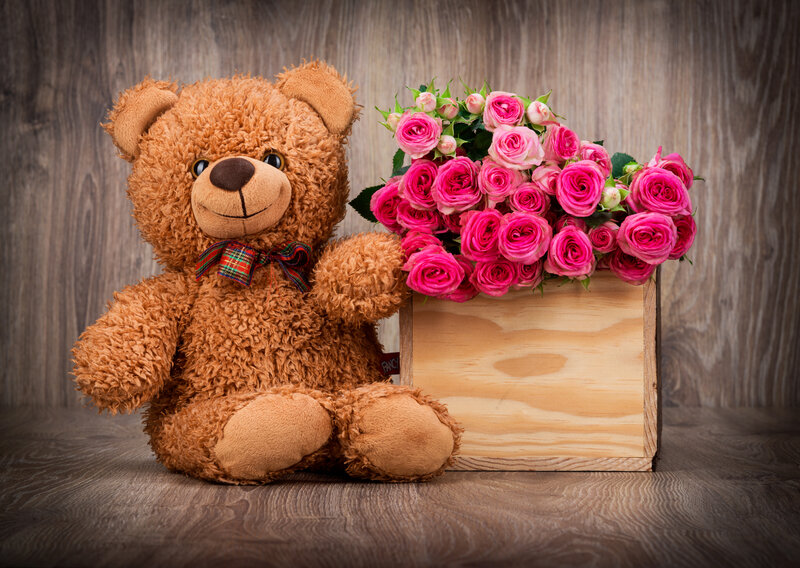 Brown Teddy Bear — Calm, Photograph, Roses
