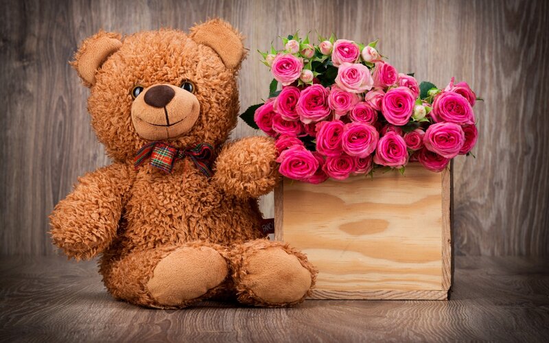Brown Teddy Bear — Calm, Photograph, Roses, Wooden Box