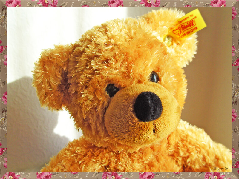 Brown Teddy Bear — Calm, Photograph, Tag