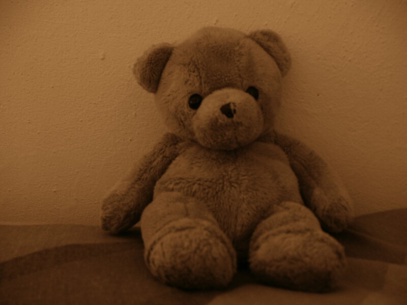 Brown Teddy Bear — Calm, Photograph, Wall