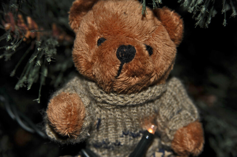 Brown Teddy Bear — Calm