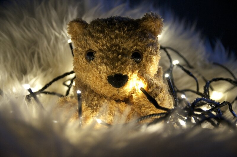 Brown Teddy Bear — Cozy