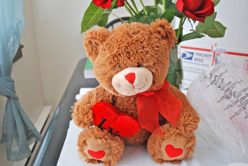 Brown Teddy Bear Holding Heart — Sentimental