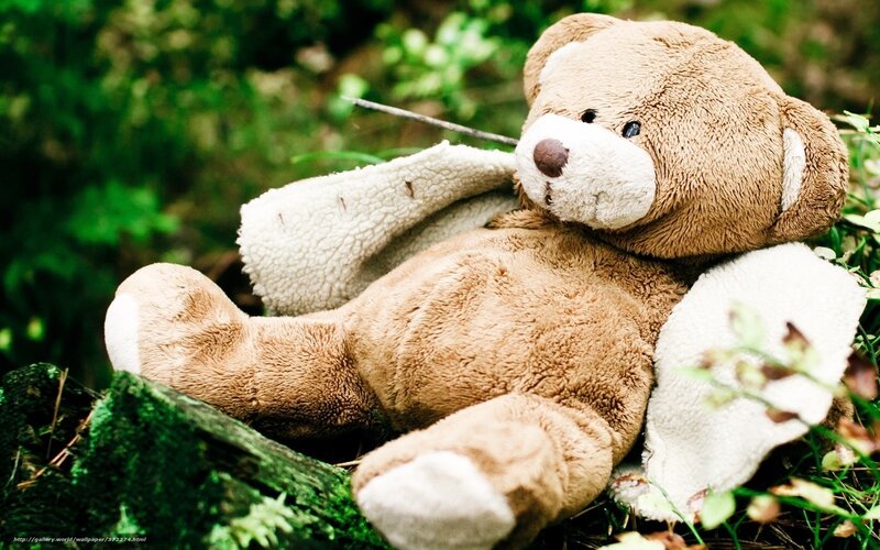 Brown Teddy Bear — Melancholic, Photograph, Grass