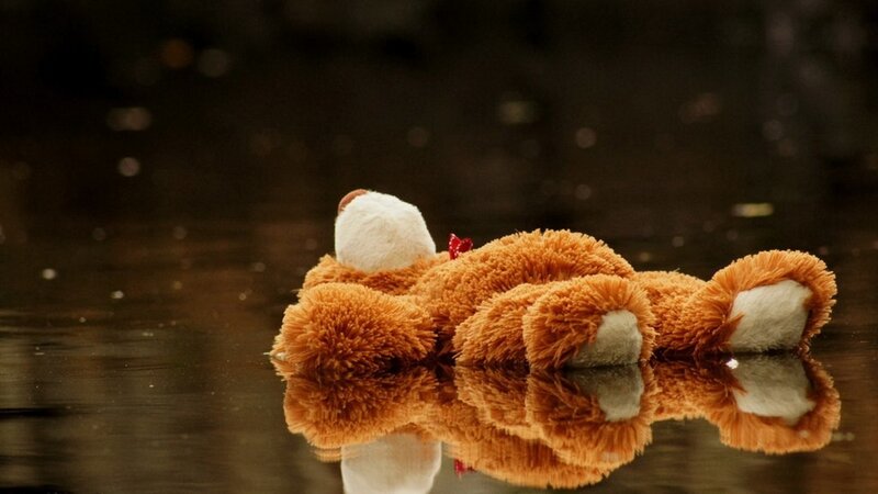 Brown Teddy Bear — Melancholic, Photograph, Puddle, Reflection, White