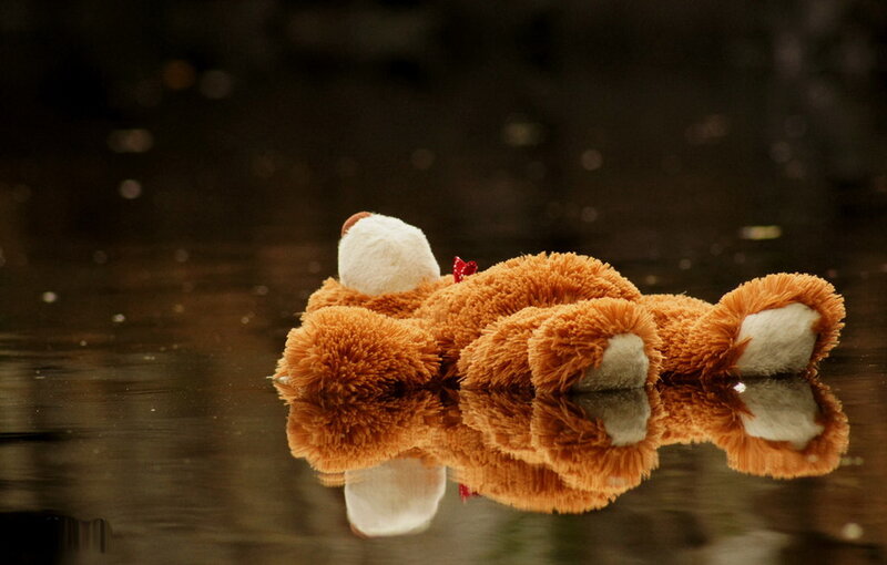 Brown Teddy Bear — Melancholic, Photograph