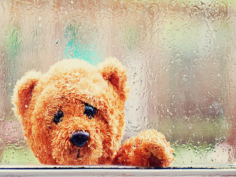 Brown Teddy Bear — Melancholic