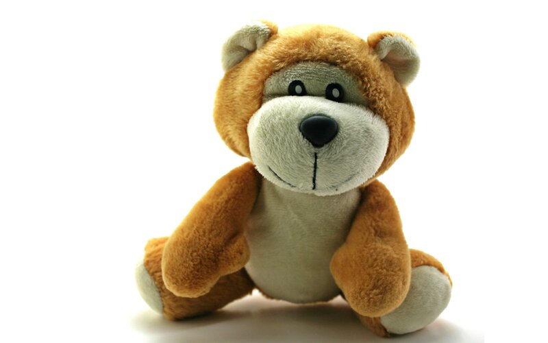 Brown Teddy Bear — Neutral, Photograph