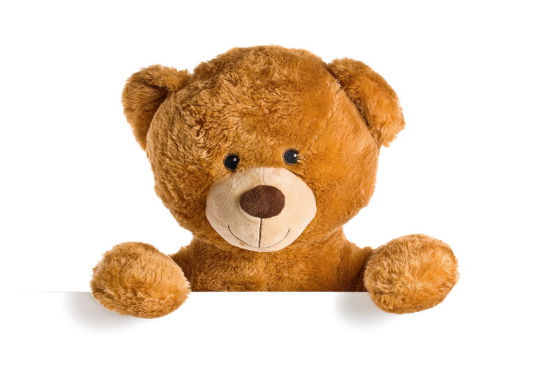 Brown Teddy Bear — Neutral, Photograph, White Background