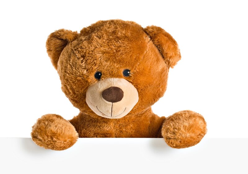 Brown Teddy Bear — Neutral, Photograph, White Surface