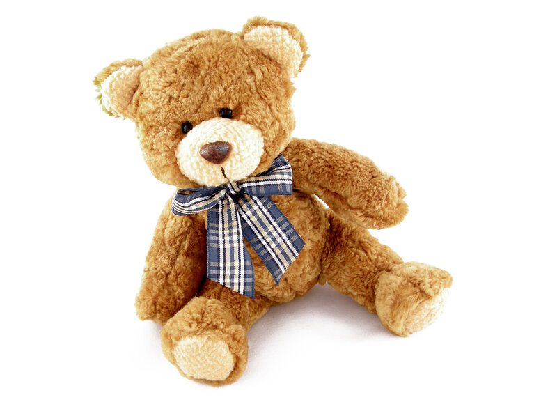 Brown Teddy Bear — Neutral