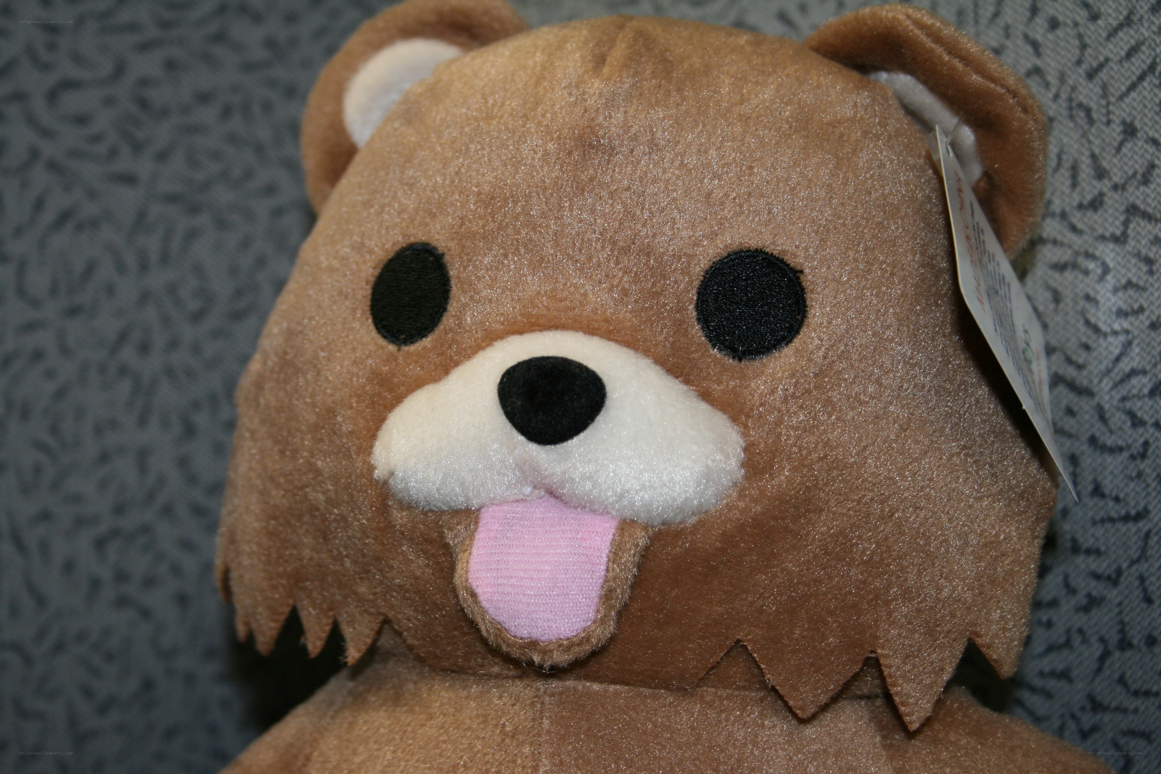 brown teddy bear plush