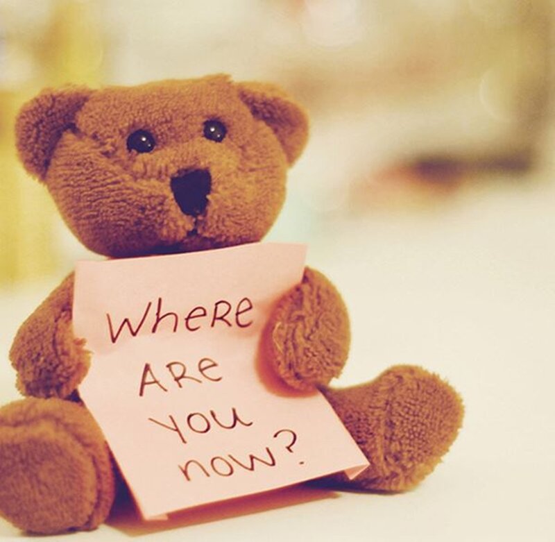 Brown Teddy Bear — Sentimental, Photograph, Paper Note