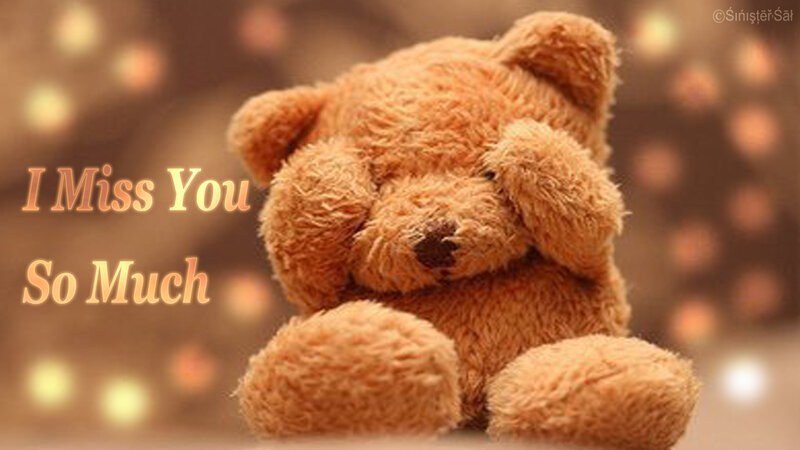 Brown Teddy Bear — Sentimental, Photograph, Text