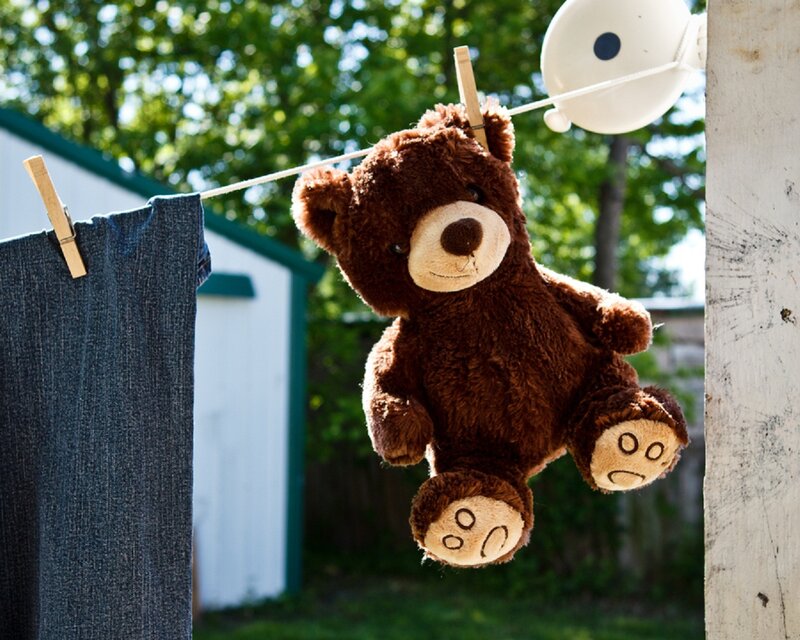 Brown Teddy Bear — Serene, Afternoon