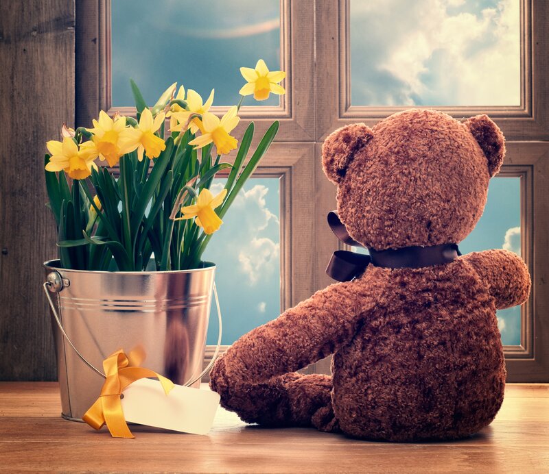 Brown Teddy Bear — Serene, Spring, Photograph