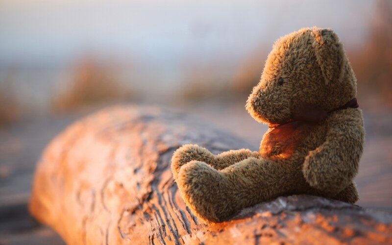 Brown Teddy Bear — Serene, Sunset