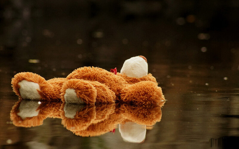Brown Teddy Bear — Somber