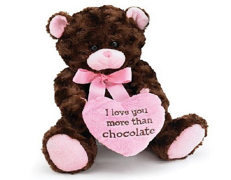 Brown Teddy Bear — Sweet