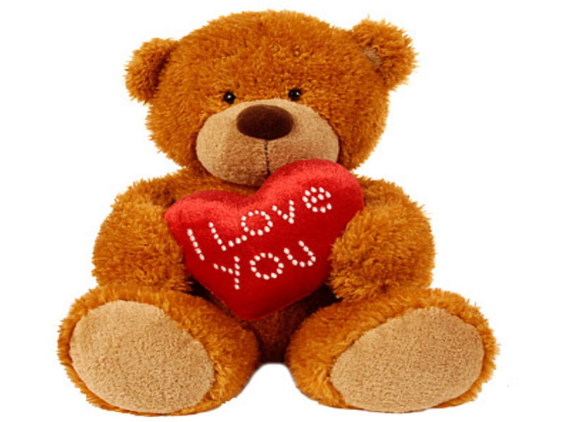 Brown Teddy Bear